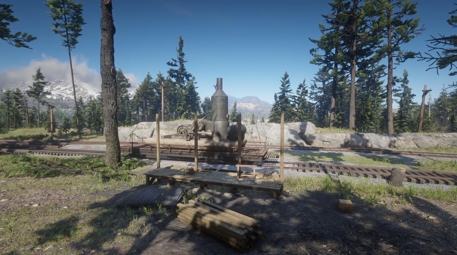 Appleseed Timber Company RED DEAD REDEMPTION 2 情報&攻略 wiki RDR2